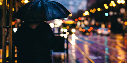 WNBA总决赛拉斯维加斯连胜封王 女篮“超级前锋”荣膺FMVP