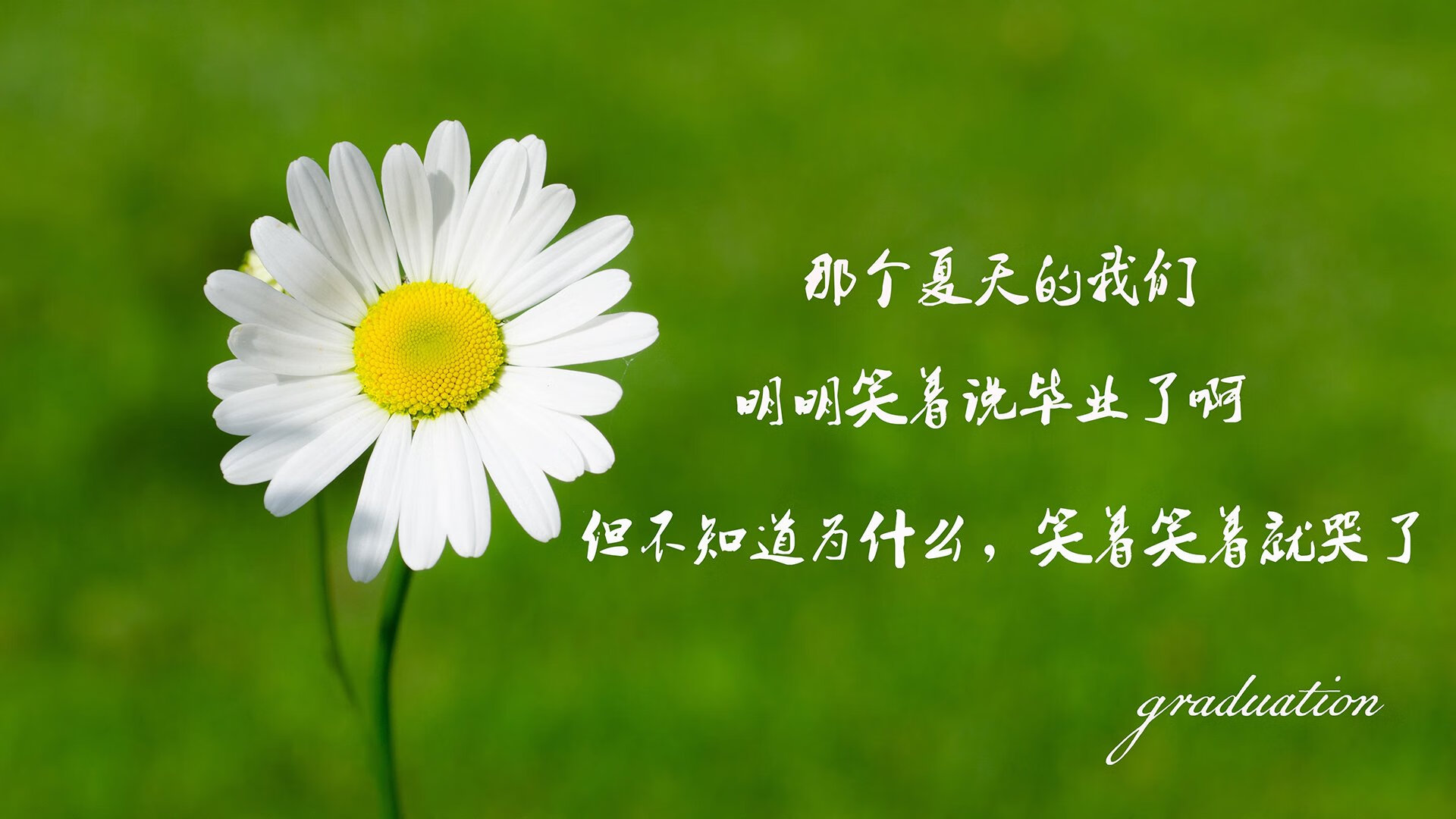 德甲激烈追赶：一线豪门积分差距不大，德甲豪门排名
