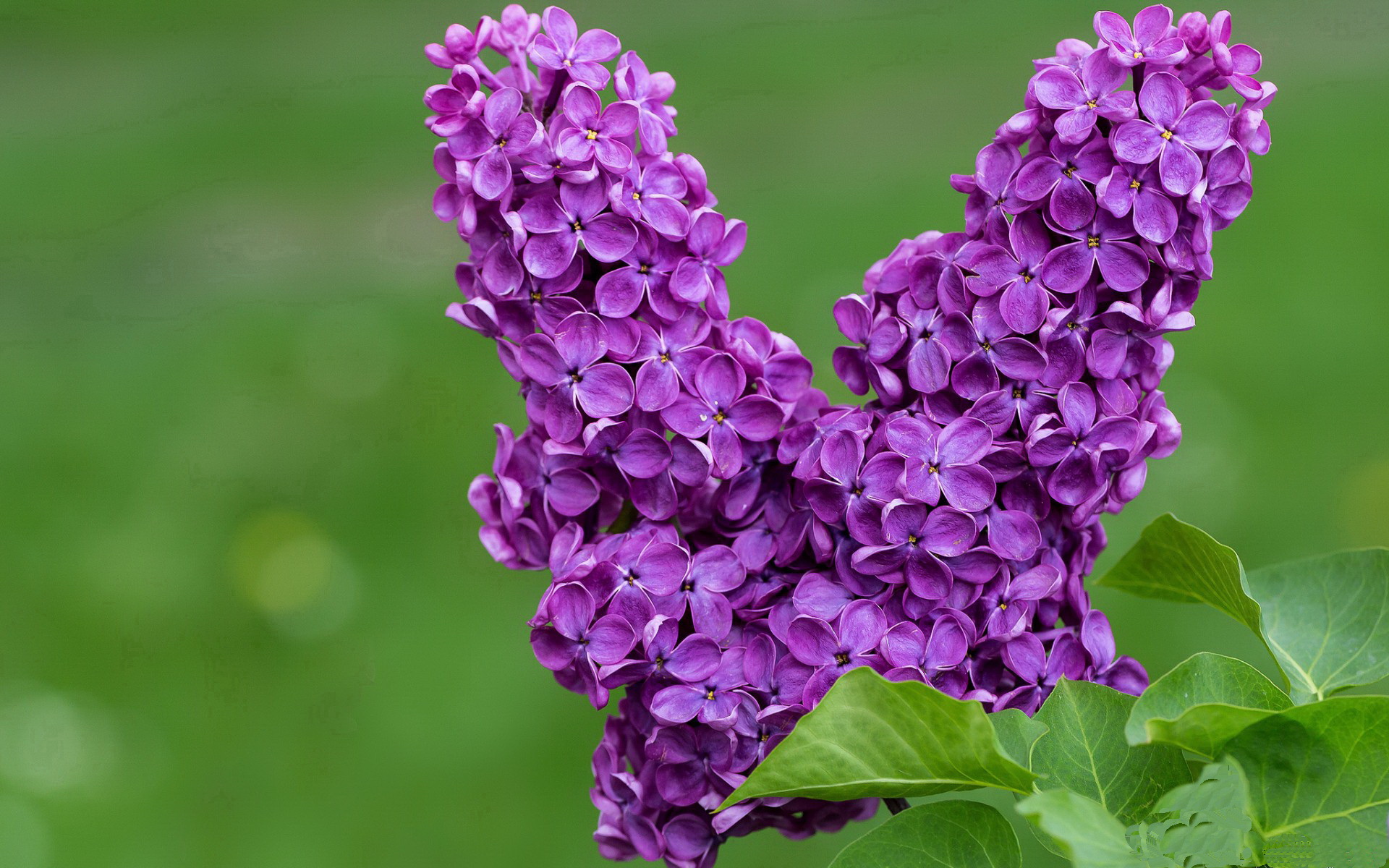 leyu乐鱼官网登录入口-中国三人篮球女队加强转换防守训练，中国三人篮球女队加强转换防守训练视频