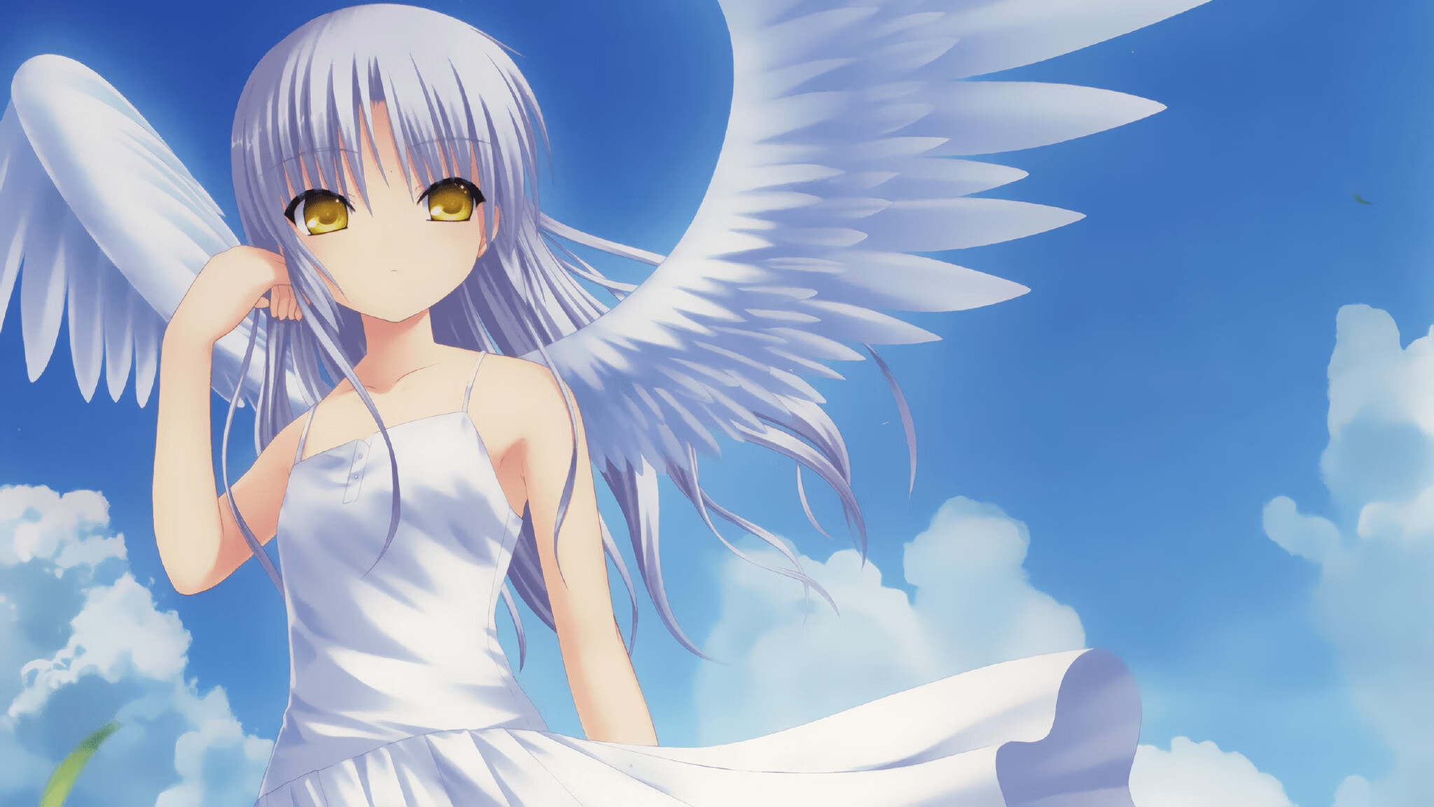 leyu乐鱼体育综合-赛事组织人才培训项目开放全国报名通道，赛事组织专业