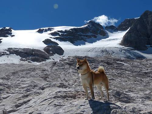 乐鱼体育登录-青训系统完善促进人才培养，青训体系