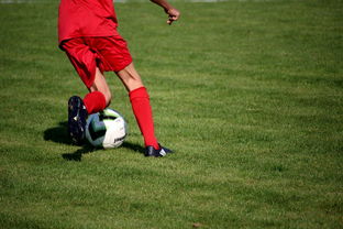 LEYU乐鱼体育官方网站-CBA球队完善伤病防护体系保障运动员健康和职业生涯，cba球员伤情报告