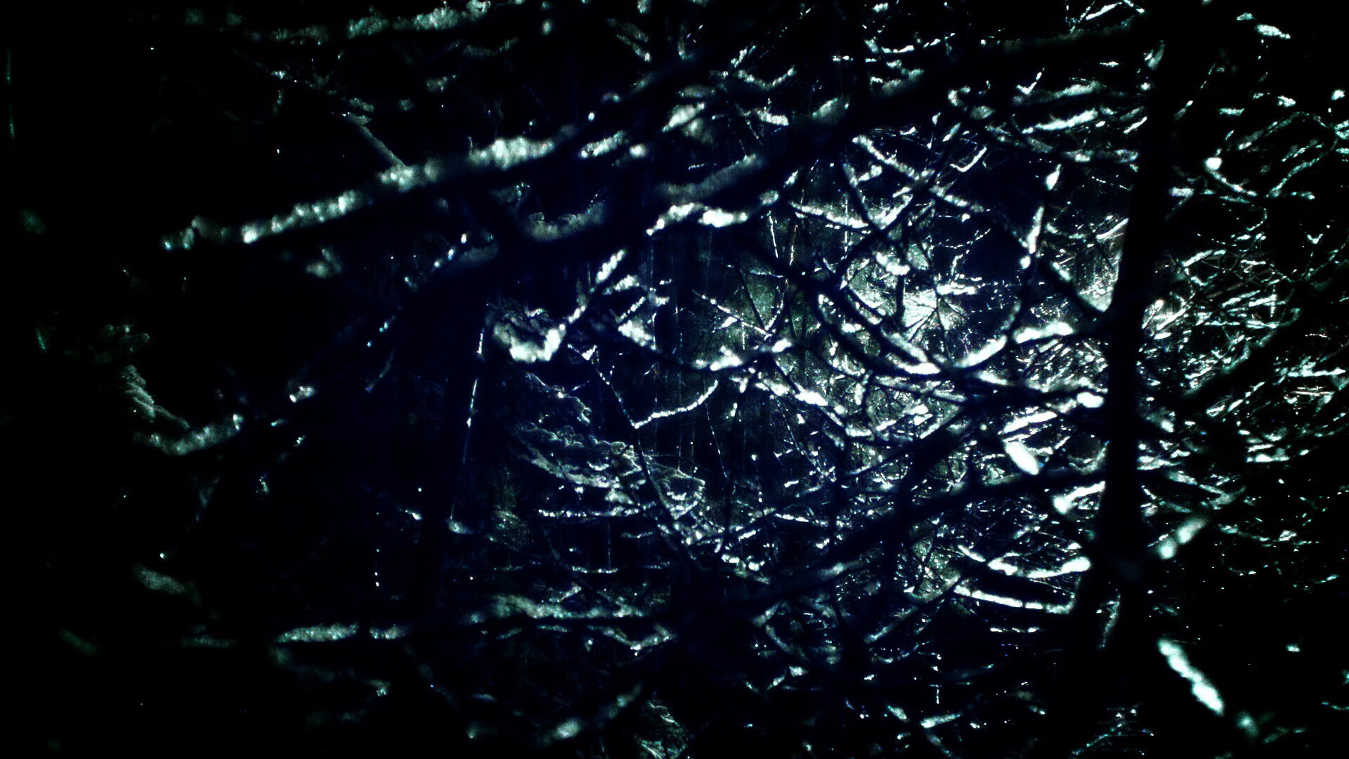 伯科夫50米仰泳爆发力惊艳全场