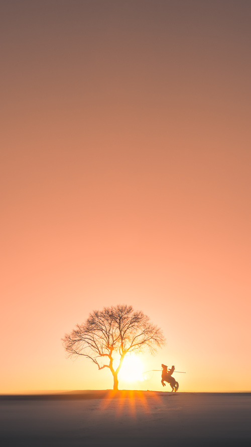 乐鱼电竞在线平台-体育新闻中心发布全国教练员交流合作平台使用说明，全国教练员岗位培训系统