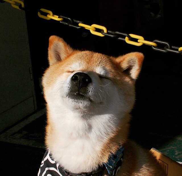 出发反应速度稳定,起跳精准,起跑反应时间怎么计算