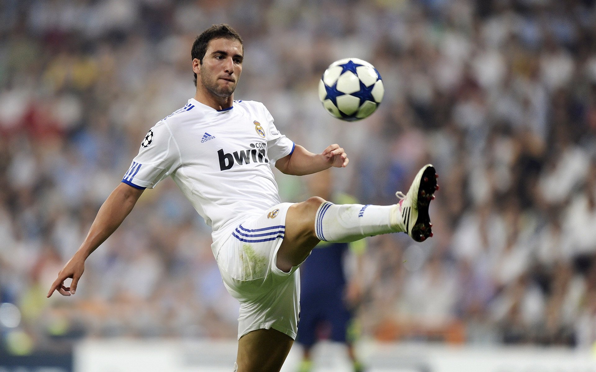 半决赛对塞尔维亚19‑18刺激淘汰