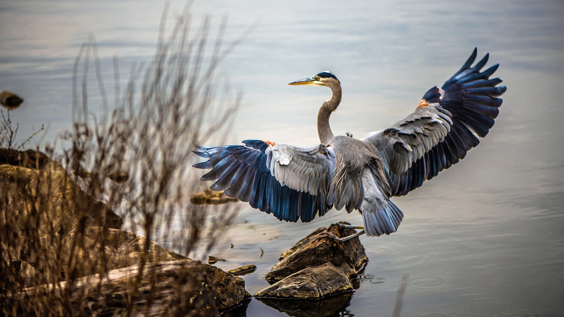 乐鱼官方登录入口-国家队首度启用战术手环追踪比赛中跑动与心率，战术手环怎么编