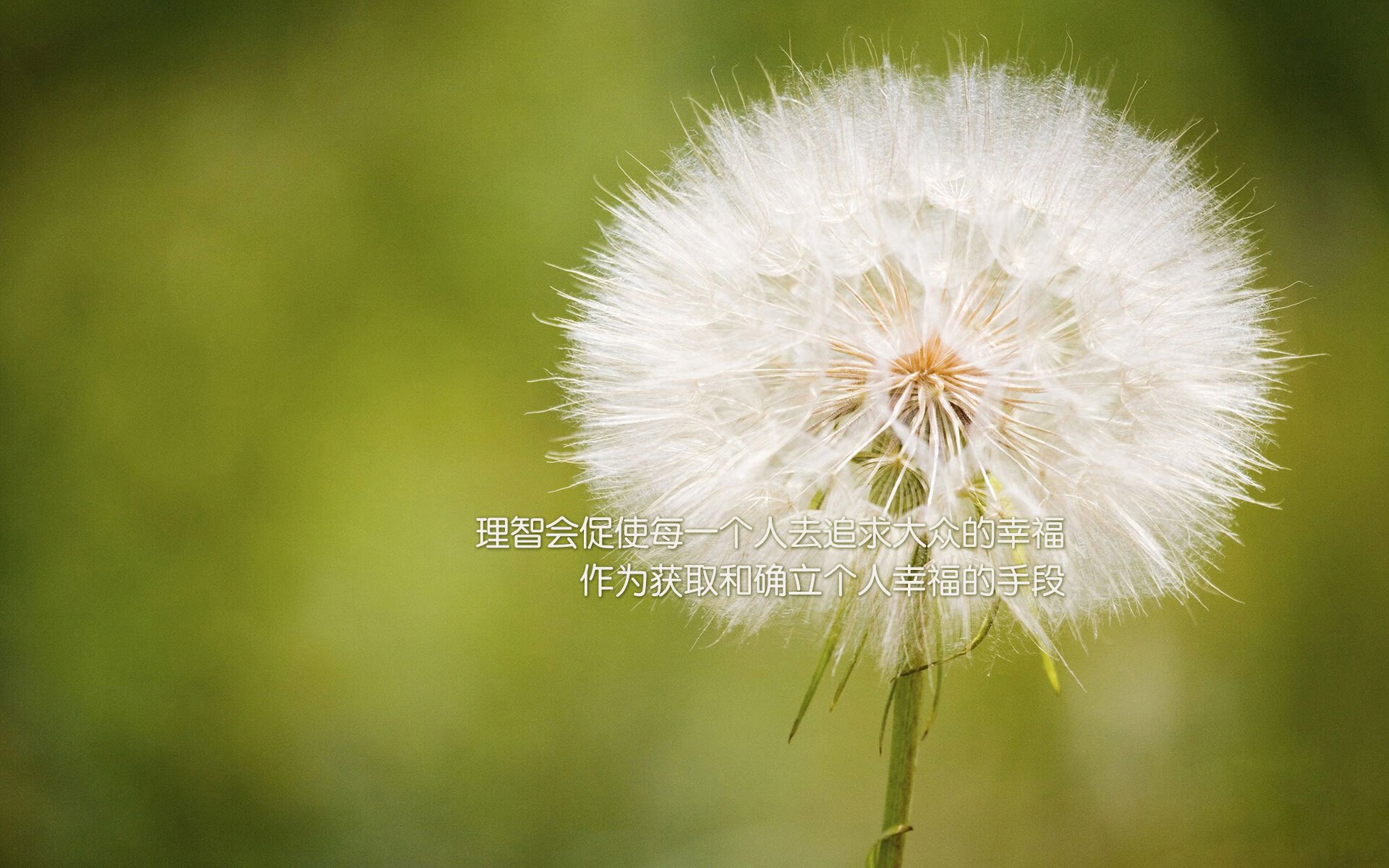 Leyu Sport下载-施瓦茨游出个人本赛季最佳成绩，施瓦茨哪国人