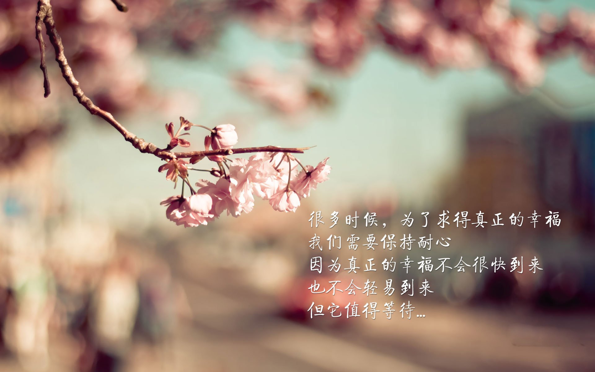 皮特·卡普尔成为袋鼠队锋线攻击的主要武器，卡尔皮纳袋鼠